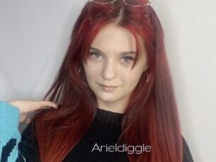 Arieldiggle