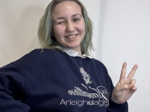 Arleighdagg