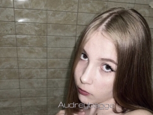 Audreybagge