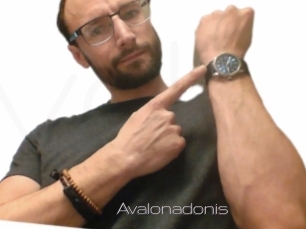 Avalonadonis