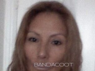 BANDACOOT