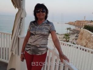 BIGPLEASURE