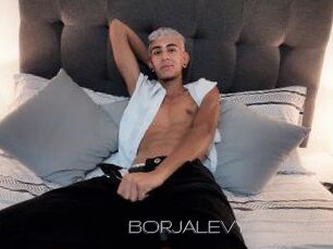 BORJALEVY