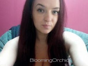 BloomingOrchid