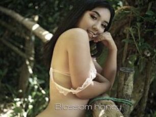 Blossom_honey