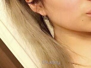Blue_jay