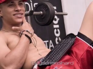 Boysensualhard