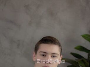 BredCollins