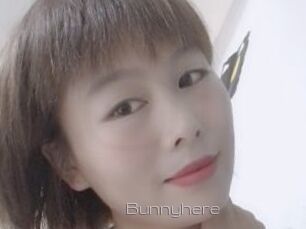 Bunnyhere