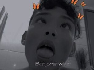 Benjaminwilde