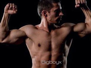 Bigboyx