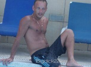 Bigdick22cm
