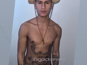 bigdicksnake Vidéo de lesbienne