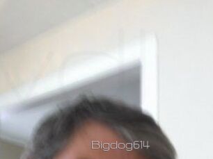 Bigdog614