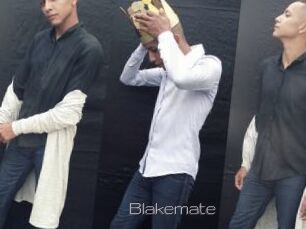 Blakemate