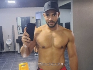 Bleickcobra