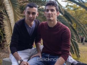Bleicknort