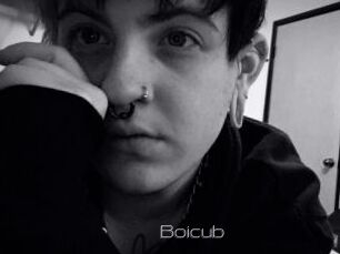 Boicub