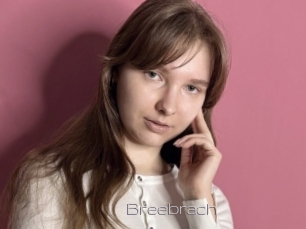 Breebrach