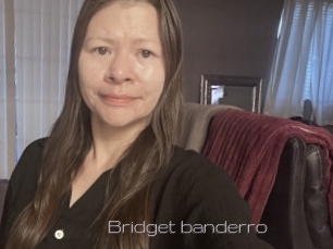 Bridget_banderro