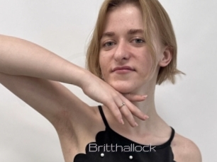 Britthallock