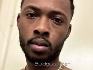Buldgycancer