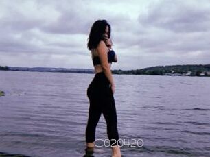 C020420