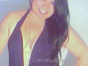 CattaleyaCum