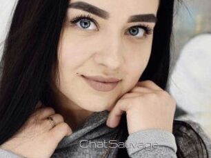 ChatSauvage