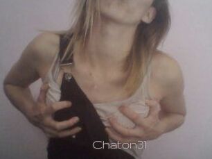 Chaton31