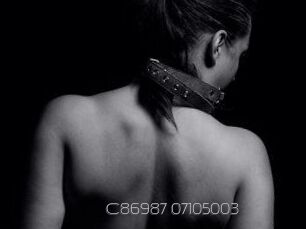 C86987-07105003