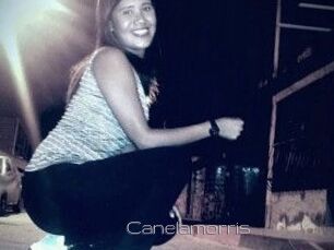 Canelamorris