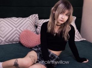 Carolinawillow
