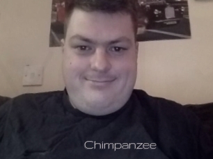Chimpanzee