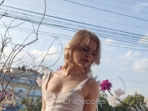 Chloecolts