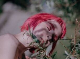 Citty