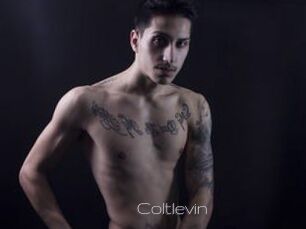Coltlevin