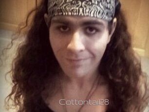 Cottontail28