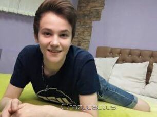 Crazycactus