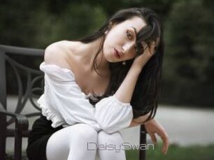 DaisySwan