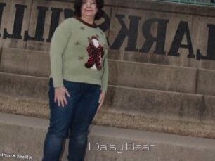 Daisy_Bear