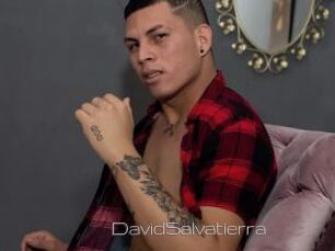 DavidSalvatierra