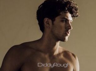 DiddyRough