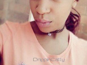 DrippinCatty