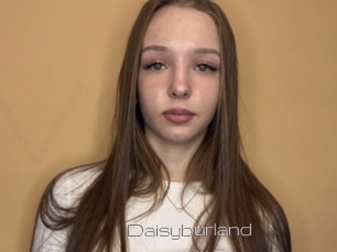 Daisyburland