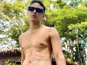 Damoncolton
