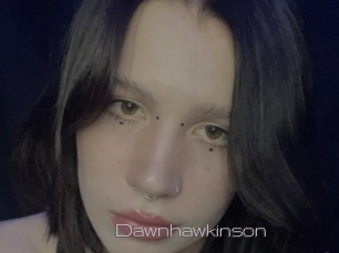 Dawnhawkinson