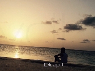 Dicapri
