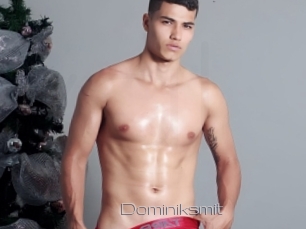 Dominiksmit
