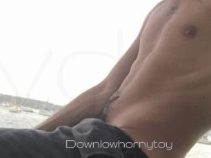 Downlowhornytoy